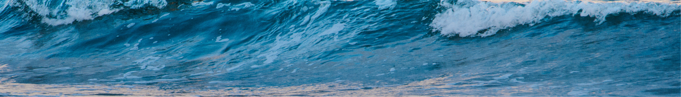 tb-swim-26s3-dskt